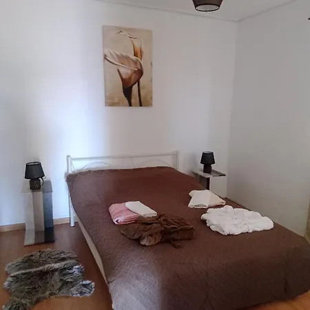 Center 5 Apartment *
